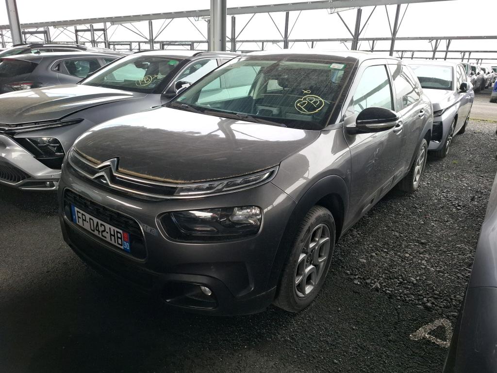 C4 CACTUS