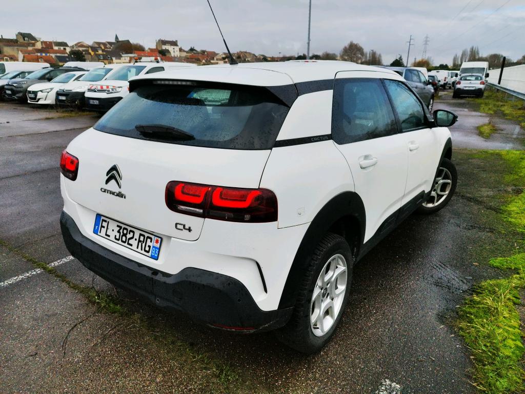 Citroen C4 Cactus BlueHDi 100 S&S BVM6 Feel 2019