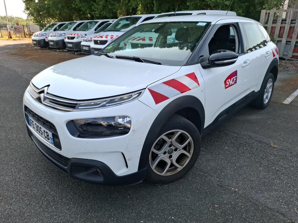 C4 CACTUS