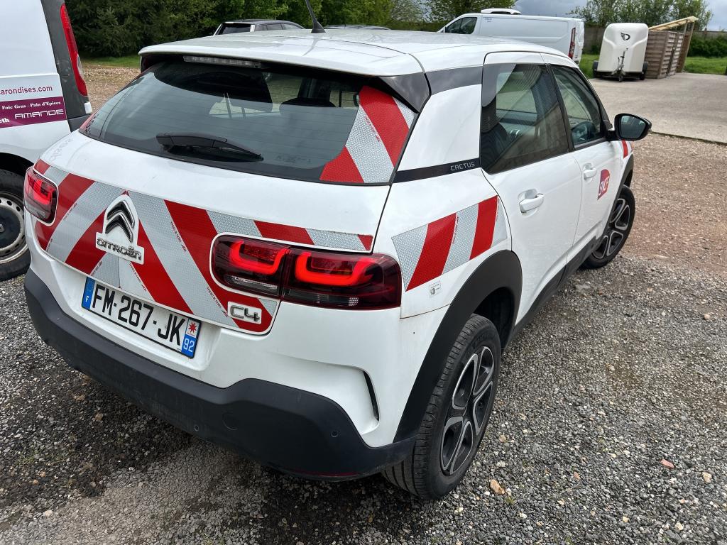 Citroen C4 Cactus BlueHDi 120 S&S EAT6 Feel 2019