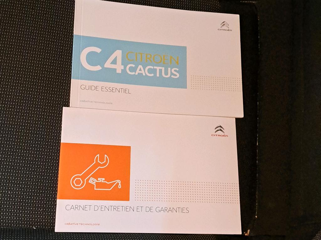 Citroen C4 Cactus BlueHDi 100 S&S BVM6 Feel 2019
