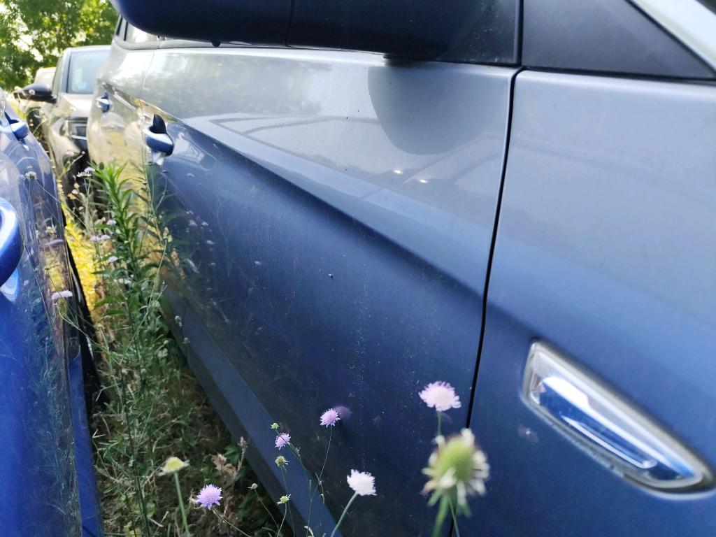 Opel Grandland 1.5 Diesel 130 ch BVA8 Elegance Business 2022