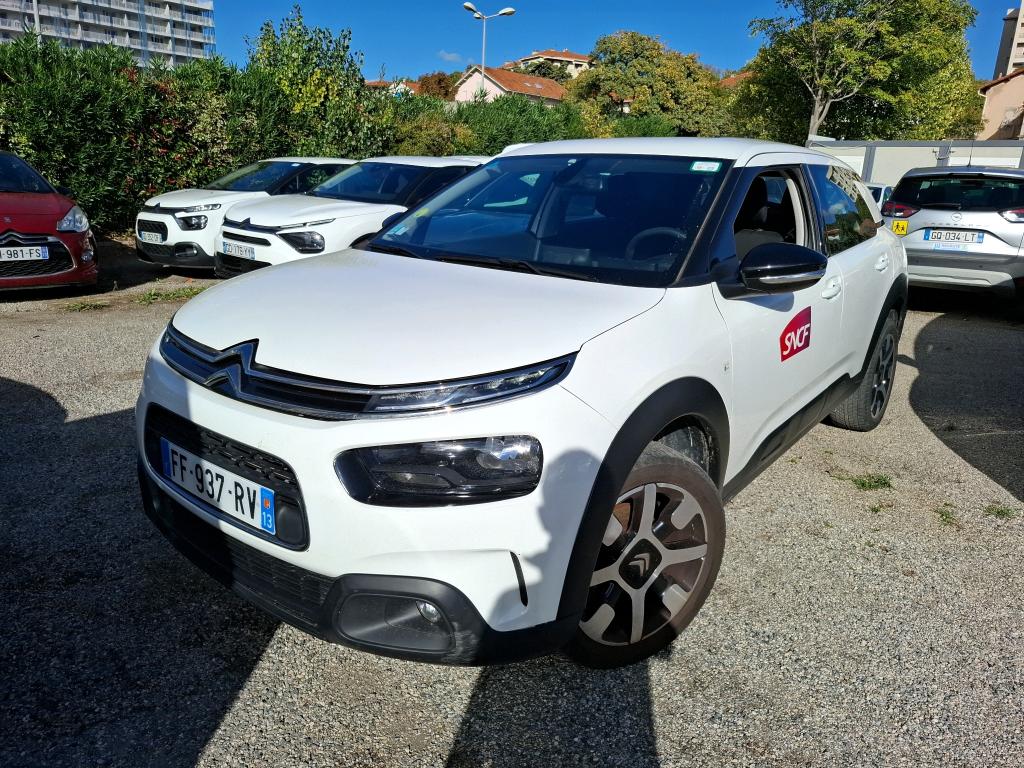 C4 CACTUS