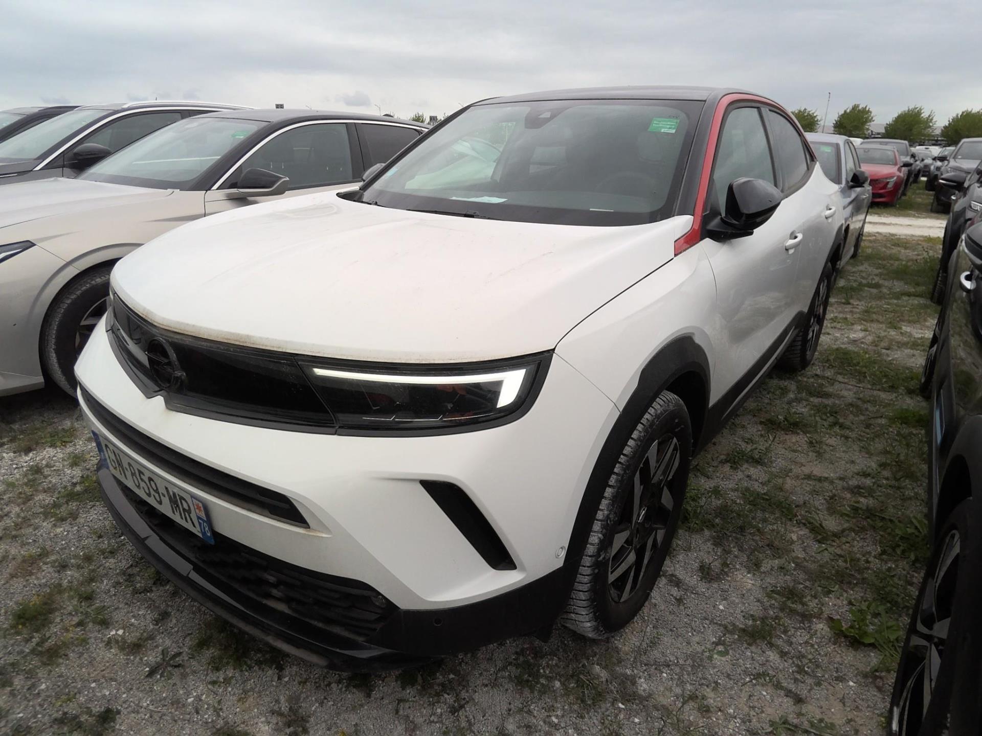 MOKKA B