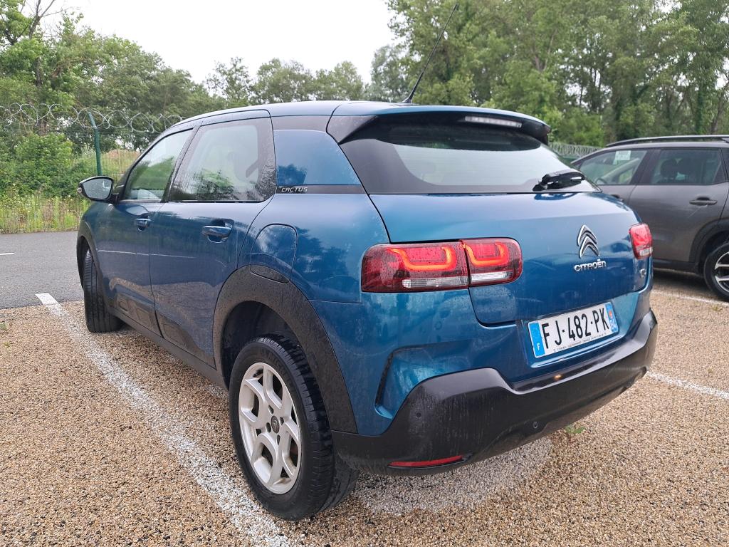 Citroen C4 Cactus BlueHDi 120 S&S EAT6 Feel Business 2019