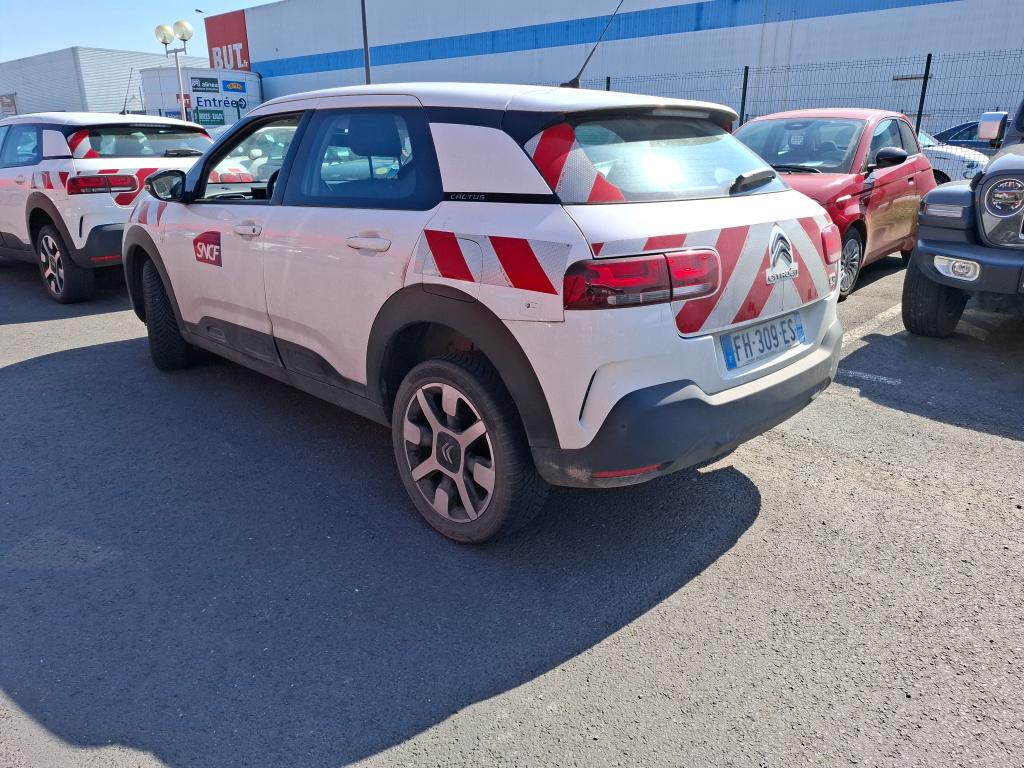 Citroen C4 Cactus BlueHDi 100 S&S BVM6 Feel 2019