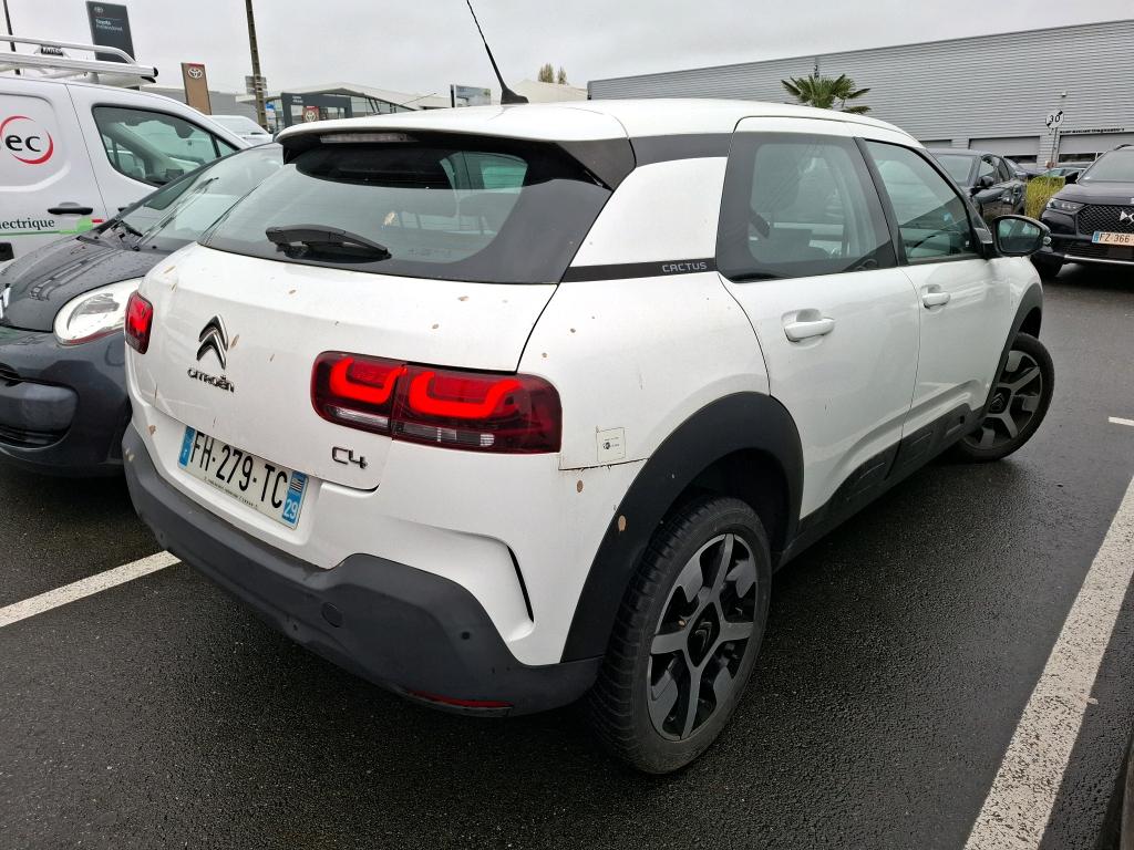 Citroen C4 Cactus PureTech 110 S&S BVM6 Feel 2019