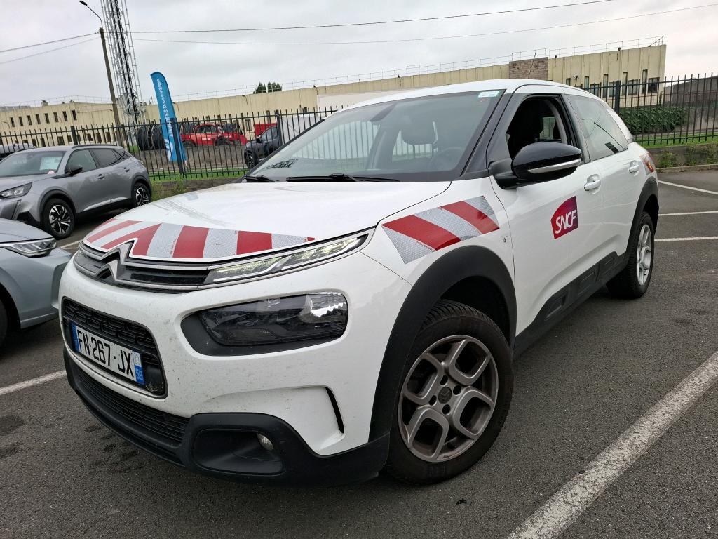 C4 CACTUS