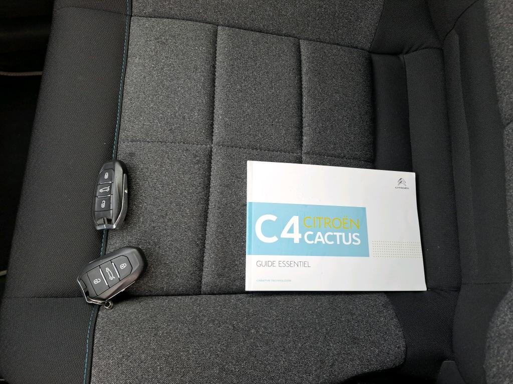 Citroen C4 Cactus BlueHDi 100 S&S BVM6 Shine Business 2019