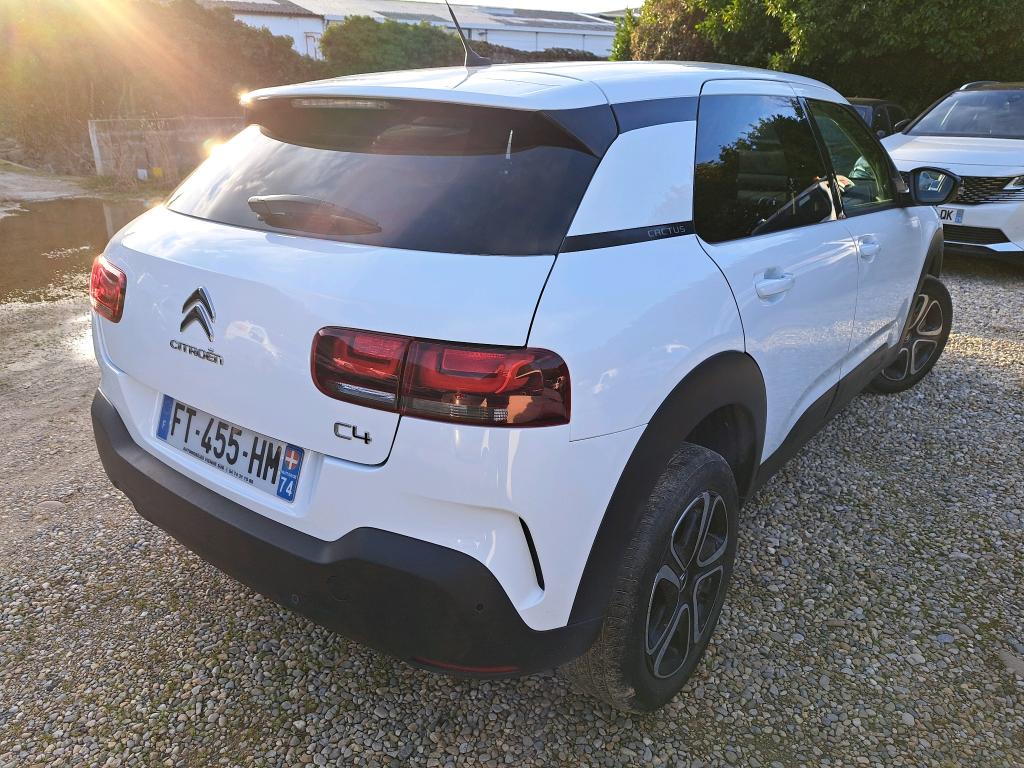 Citroen C4 Cactus PureTech 110 S&S BVM6 Feel Business 2020