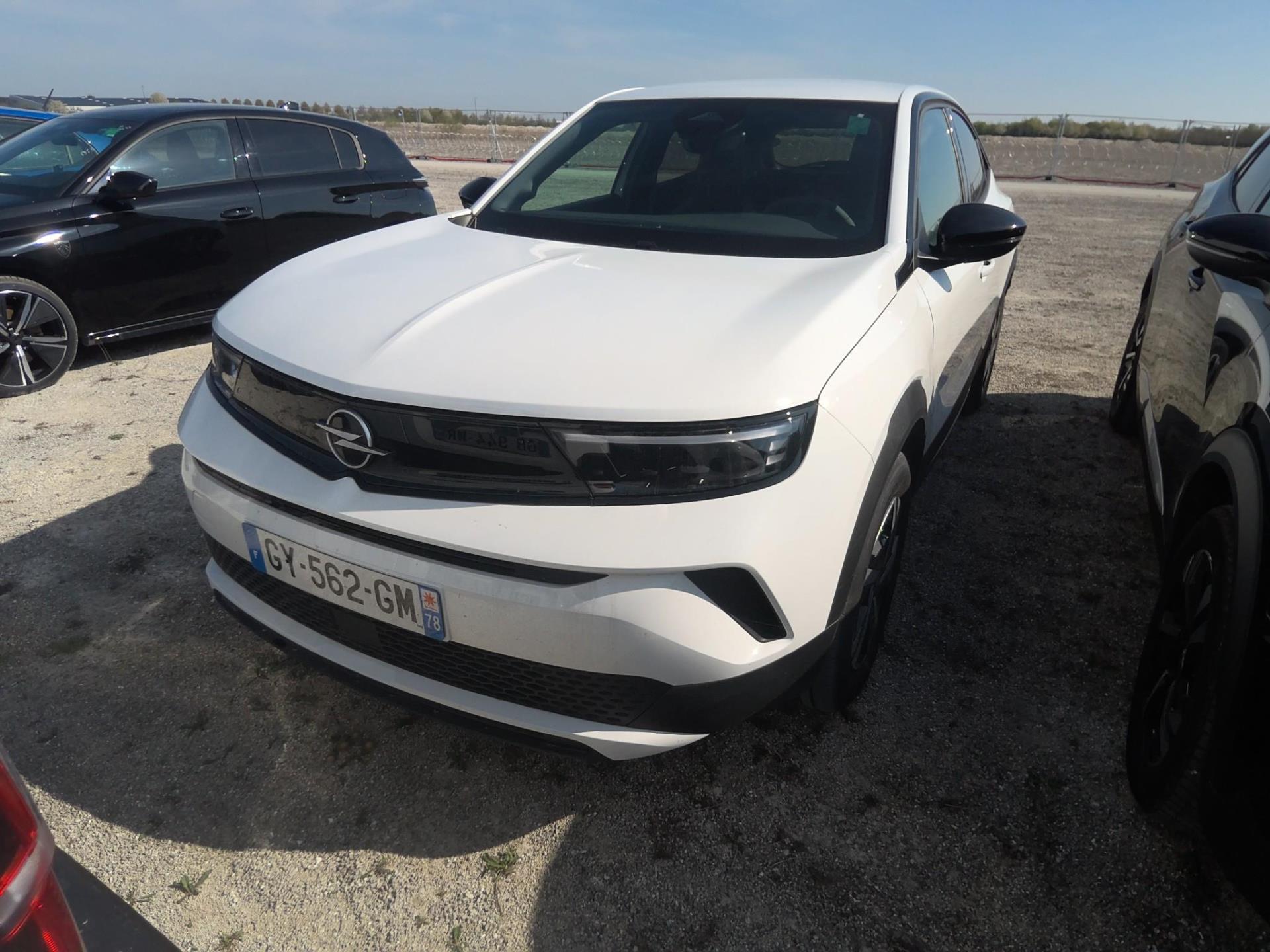 MOKKA B