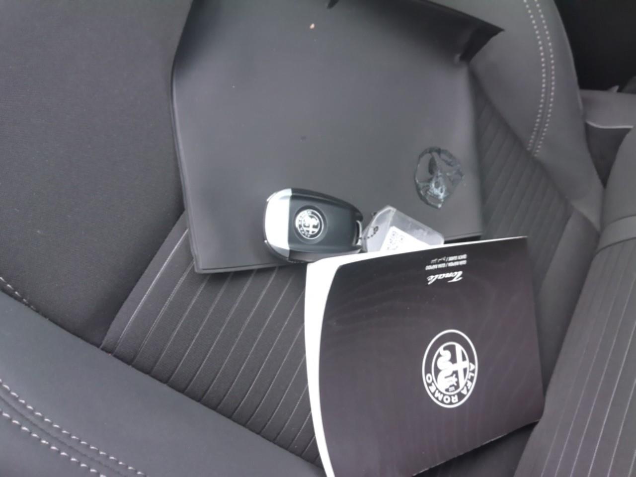 Foto Alfa Romeo Tonale 11