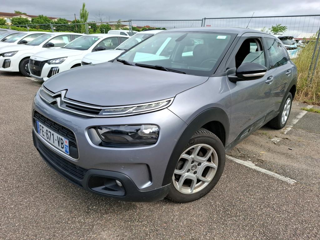 C4 CACTUS