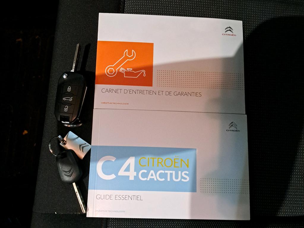 Citroen C4 Cactus BlueHDi 100 S&S BVM6 Feel 2019