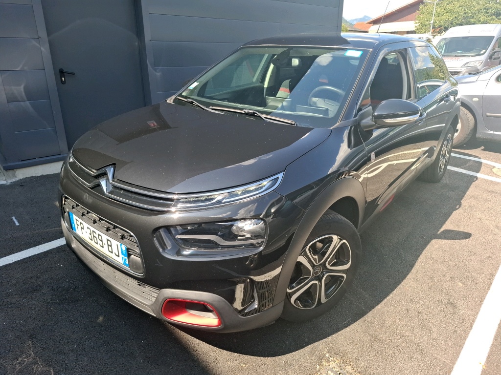 C4 CACTUS