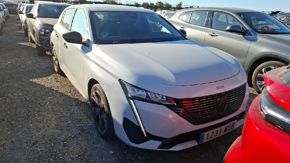 Foto Peugeot 308 7