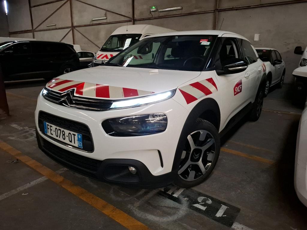 C4 CACTUS