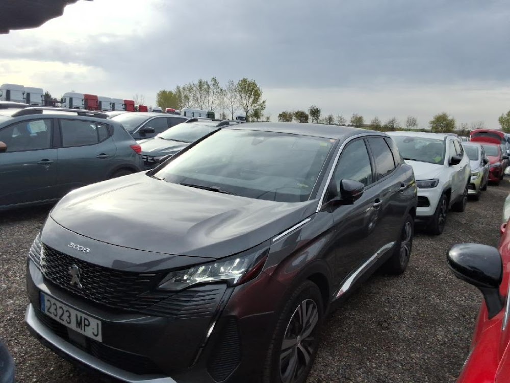Foto Peugeot 3008 4