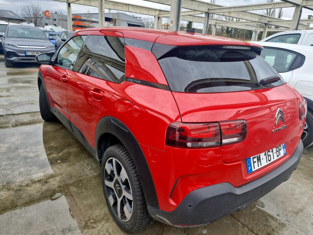 Citroen C4 Cactus BlueHDi 100 S&S BVM6 Shine 2019