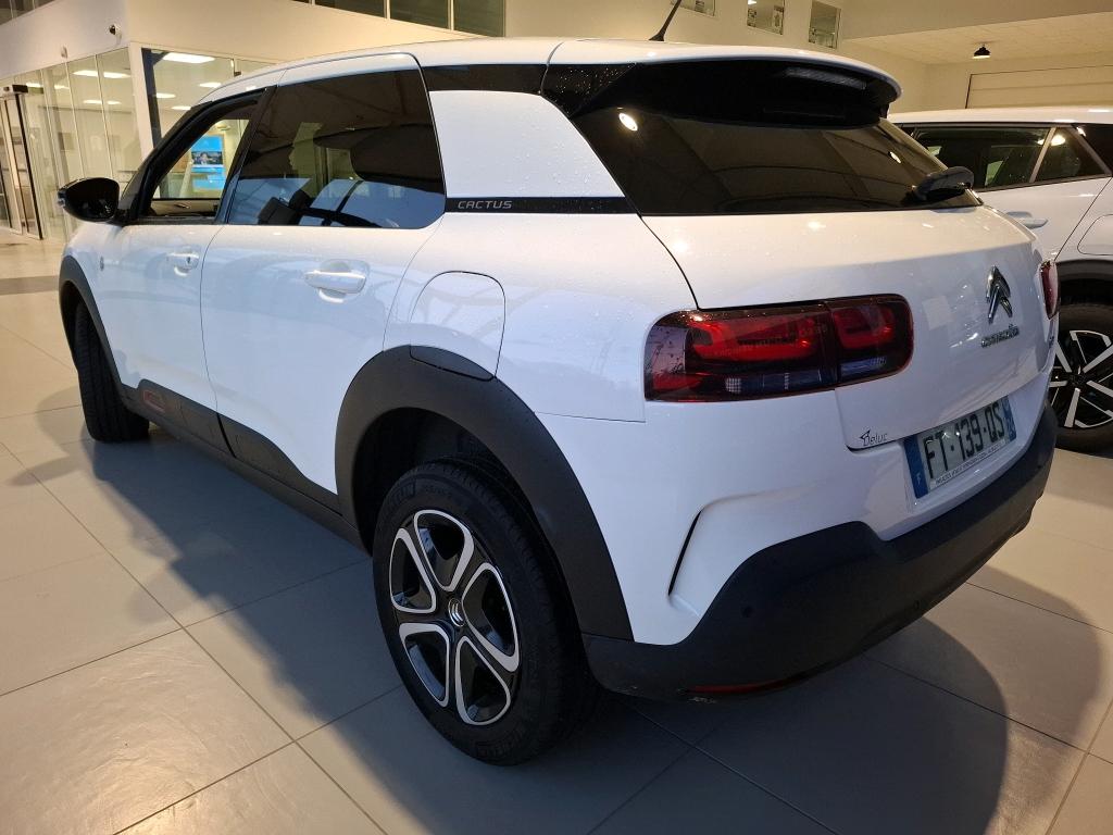 Citroen C4 Cactus BlueHDi 120 S&S EAT6 C-Series 2020