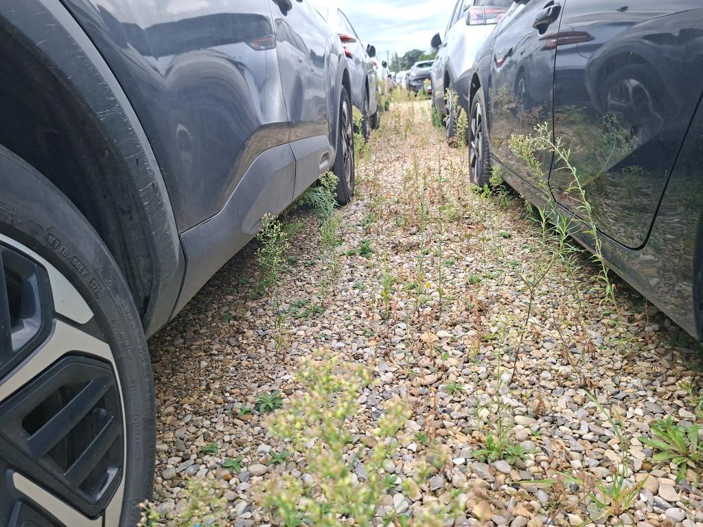 Citroen C4 PureTech 130 EAT8 Max 2023