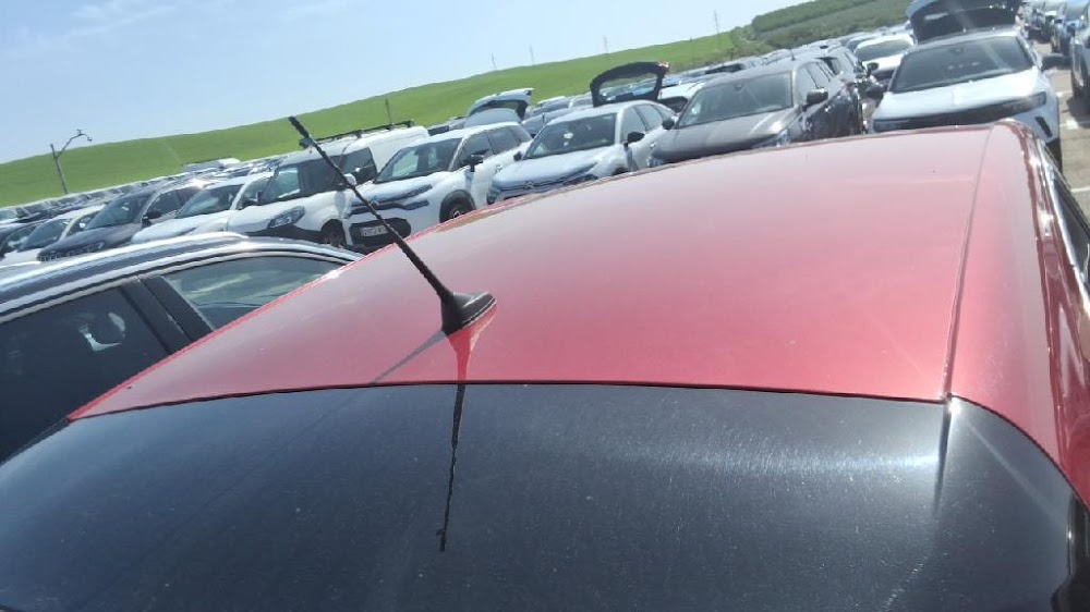 Foto Opel CrossLand 19