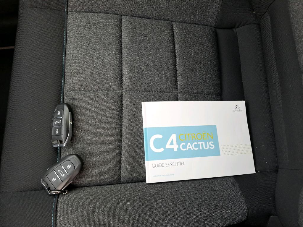 Citroen C4 Cactus BlueHDi 100 S&S BVM6 Shine Business 2019