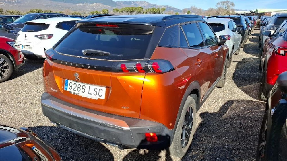 Foto Peugeot 2008 8