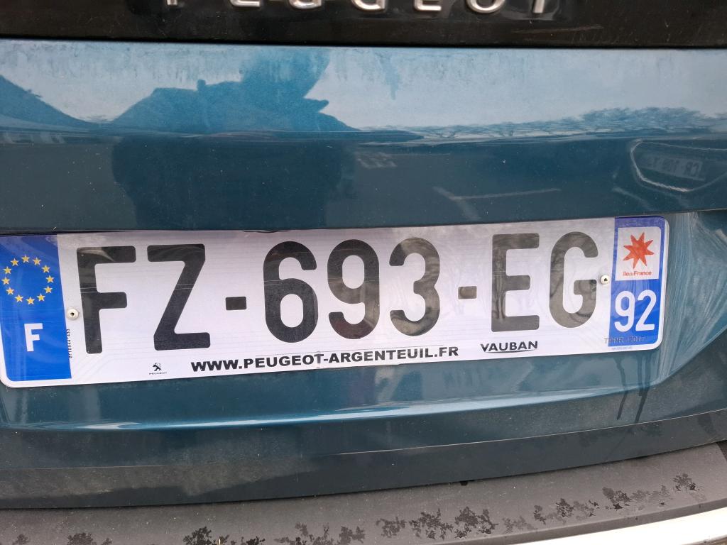 Peugeot NV 3008 SUV 