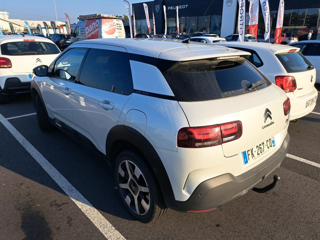 Citroen C4 Cactus PureTech 110 S&S BVM6 Shine 2019
