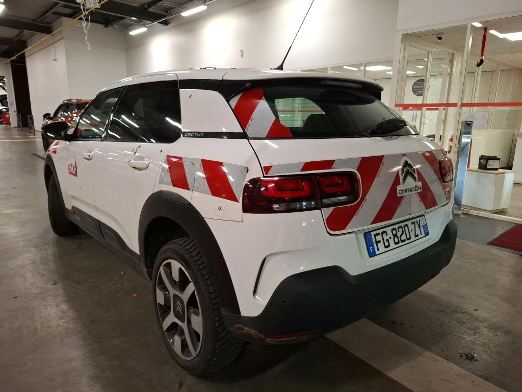 Citroen C4 Cactus BlueHDi 100 S&S BVM6 Feel 2019