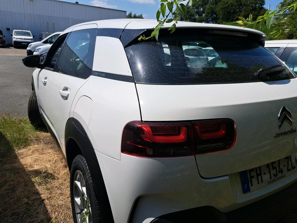 Citroen C4 CACTUS SOCIETE BLUEHDI 100 S&S BVM6 FEEL NAV 2019