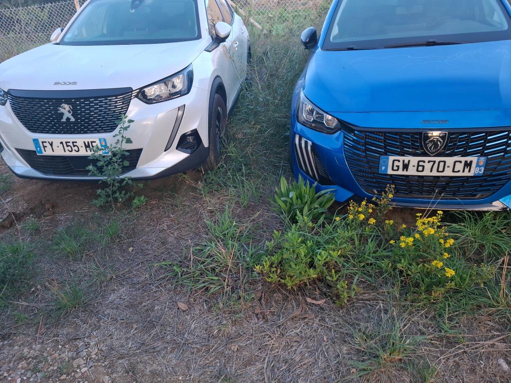 Peugeot 208 ELECTRIQUE 50 KWH 136 ACTIVE BUSINESS R 2021