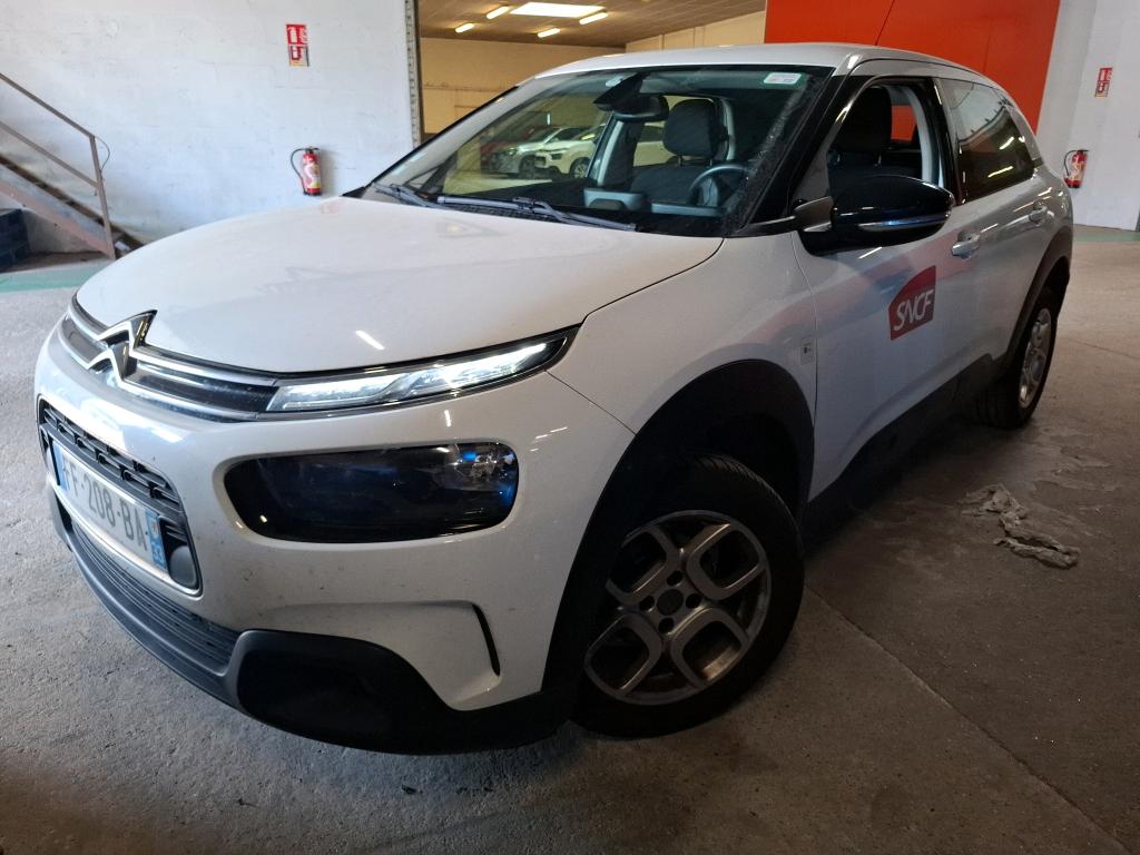 C4 CACTUS