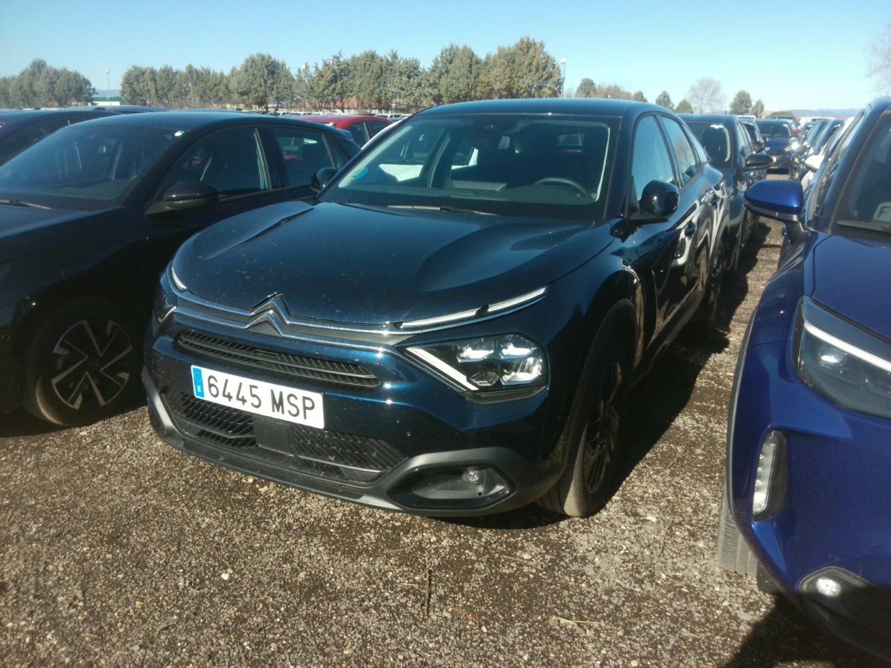 Foto Citroën C4 X 4