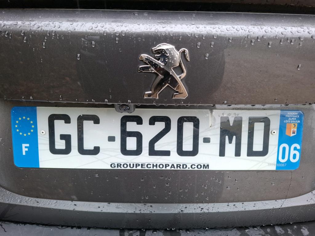 Peugeot 2008 BlueHDi 110 S&S BVM6 Active Business 2021