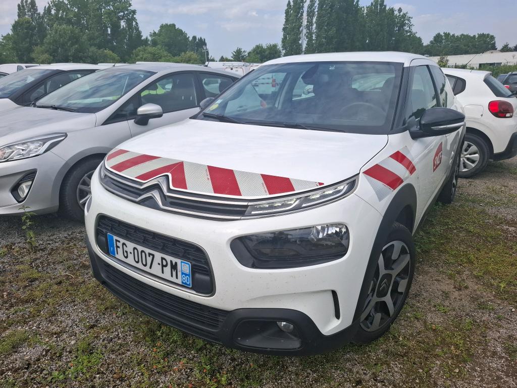 C4 CACTUS