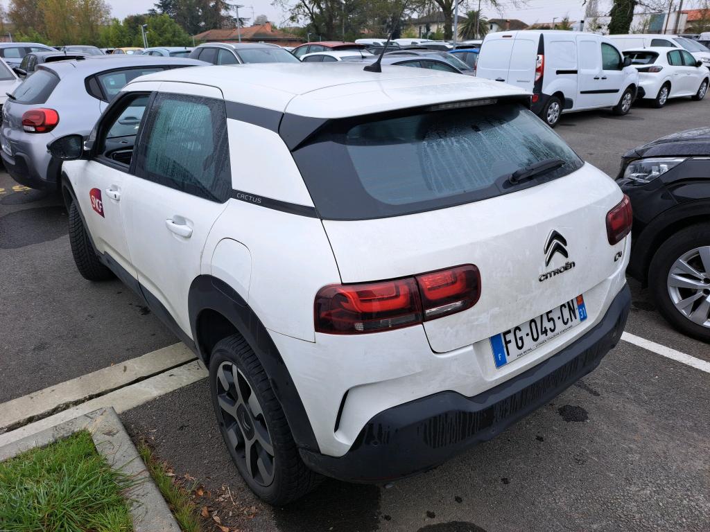 Citroen C4 Cactus BlueHDi 100 S&S BVM6 Feel 2019