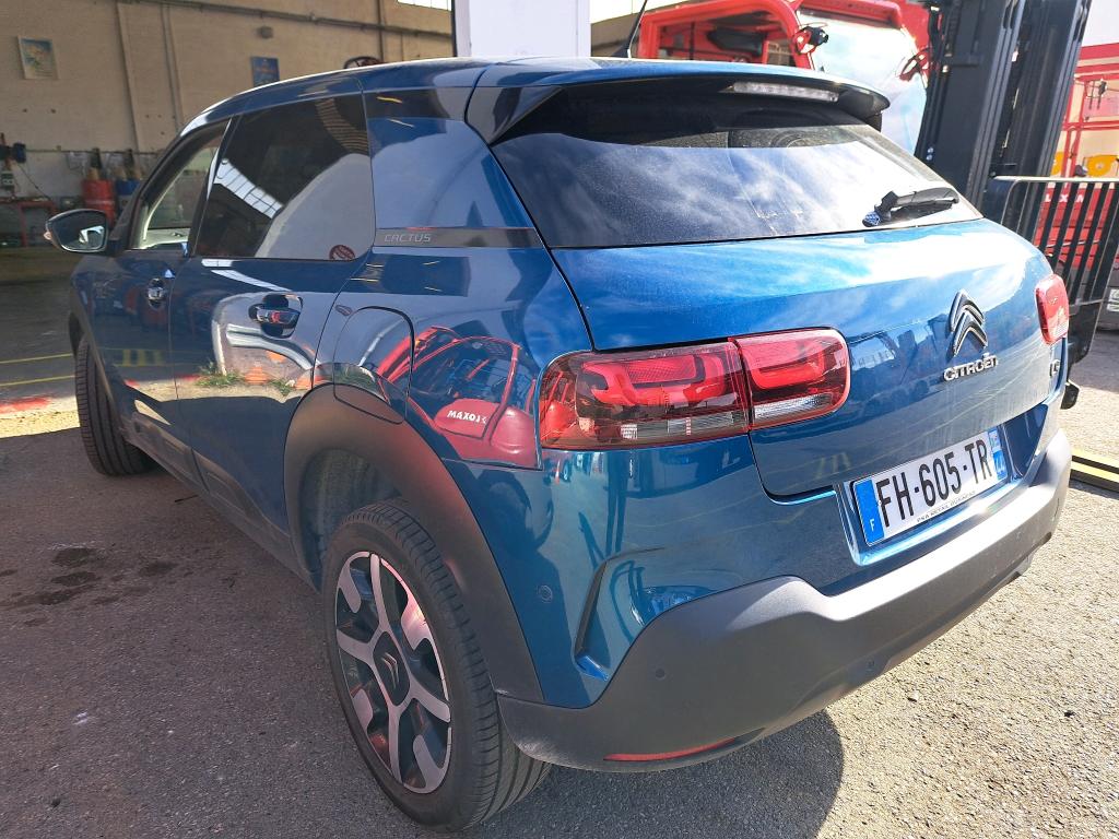 Citroen C4 Cactus BlueHDi 100 S&S BVM6 Shine Business 2019