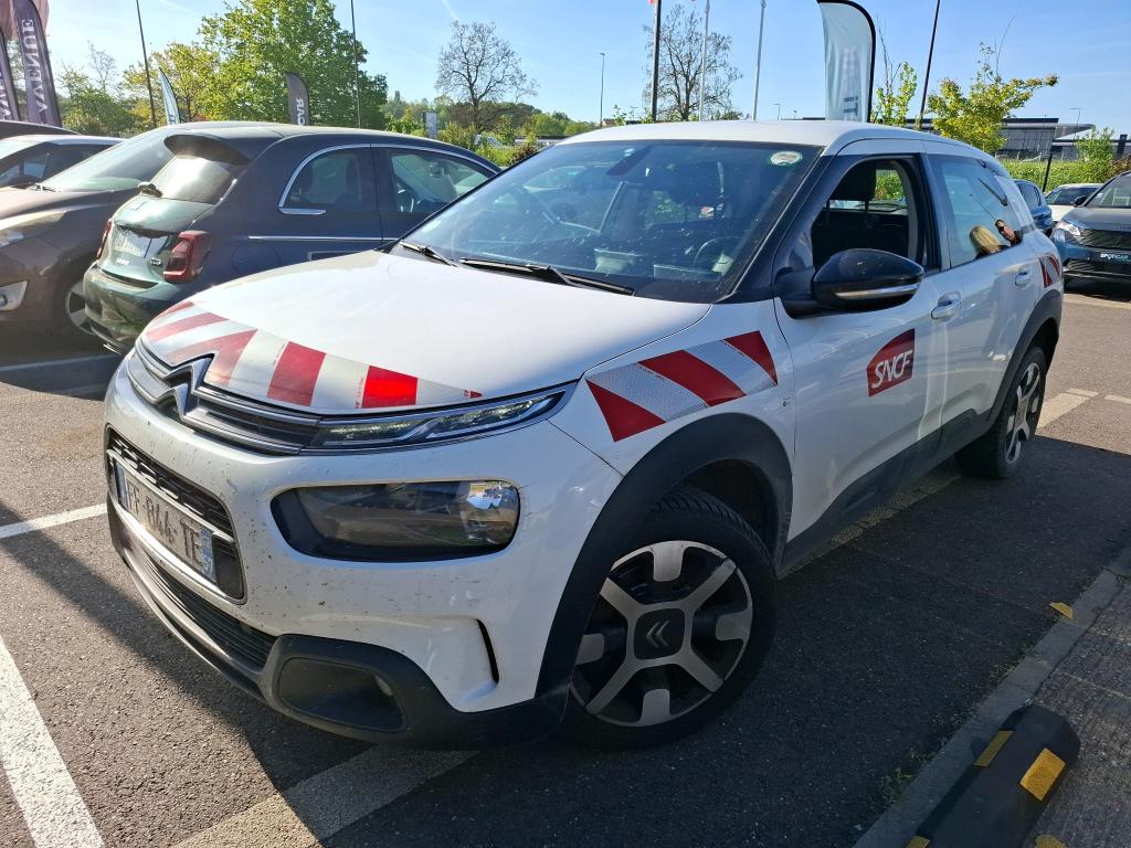 C4 CACTUS
