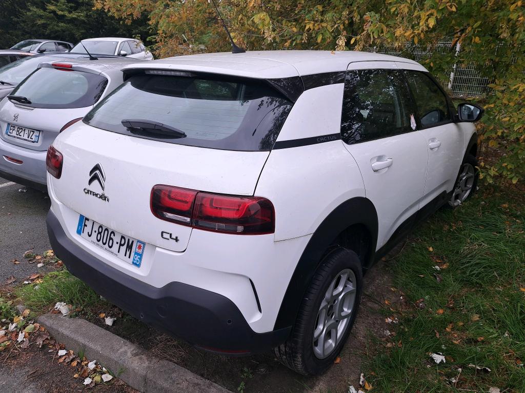 Citroen C4 CACTUS SOCIETE BLUEHDI 100 S&S BVM6 FEEL NAV 2019