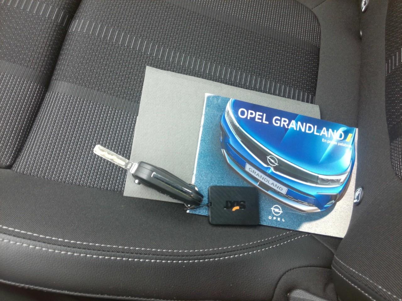 Foto Opel Grandland 16