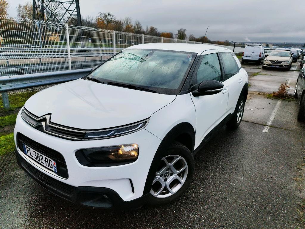 C4 CACTUS