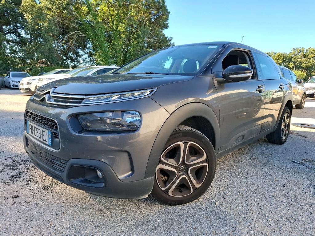 C4 CACTUS