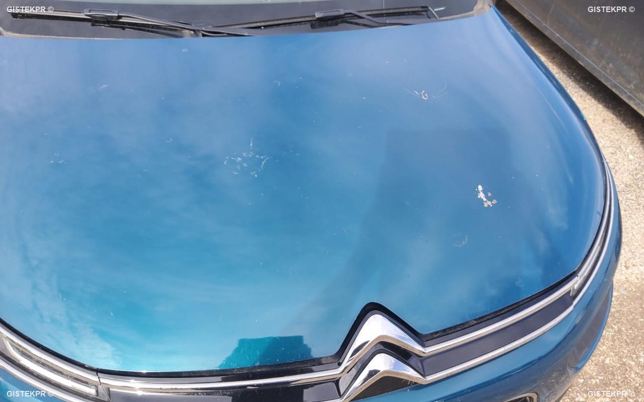 Foto Citroën C4 Cactus 2