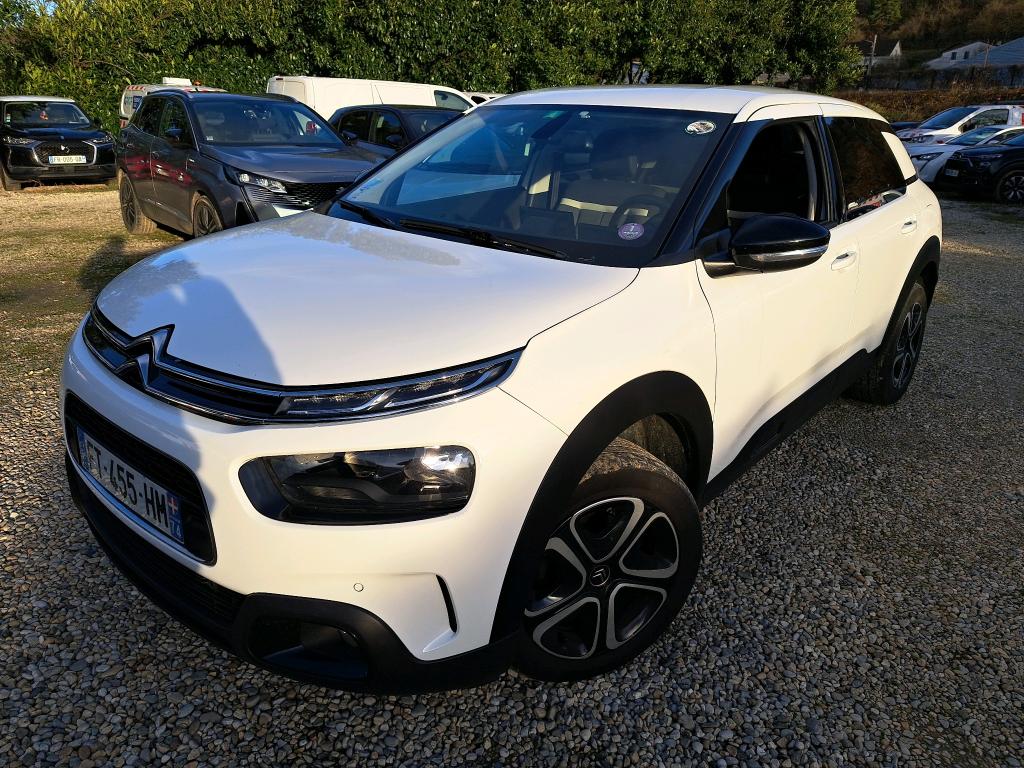 C4 CACTUS