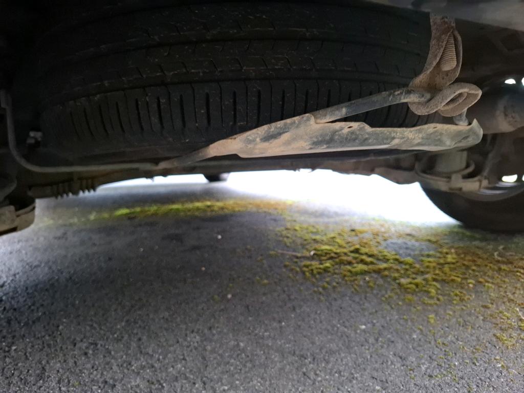 Peugeot PARTNER FOURGON STANDARD 650 KG BLUEHDI 100 S&S BVM5 PREMIUM 2020