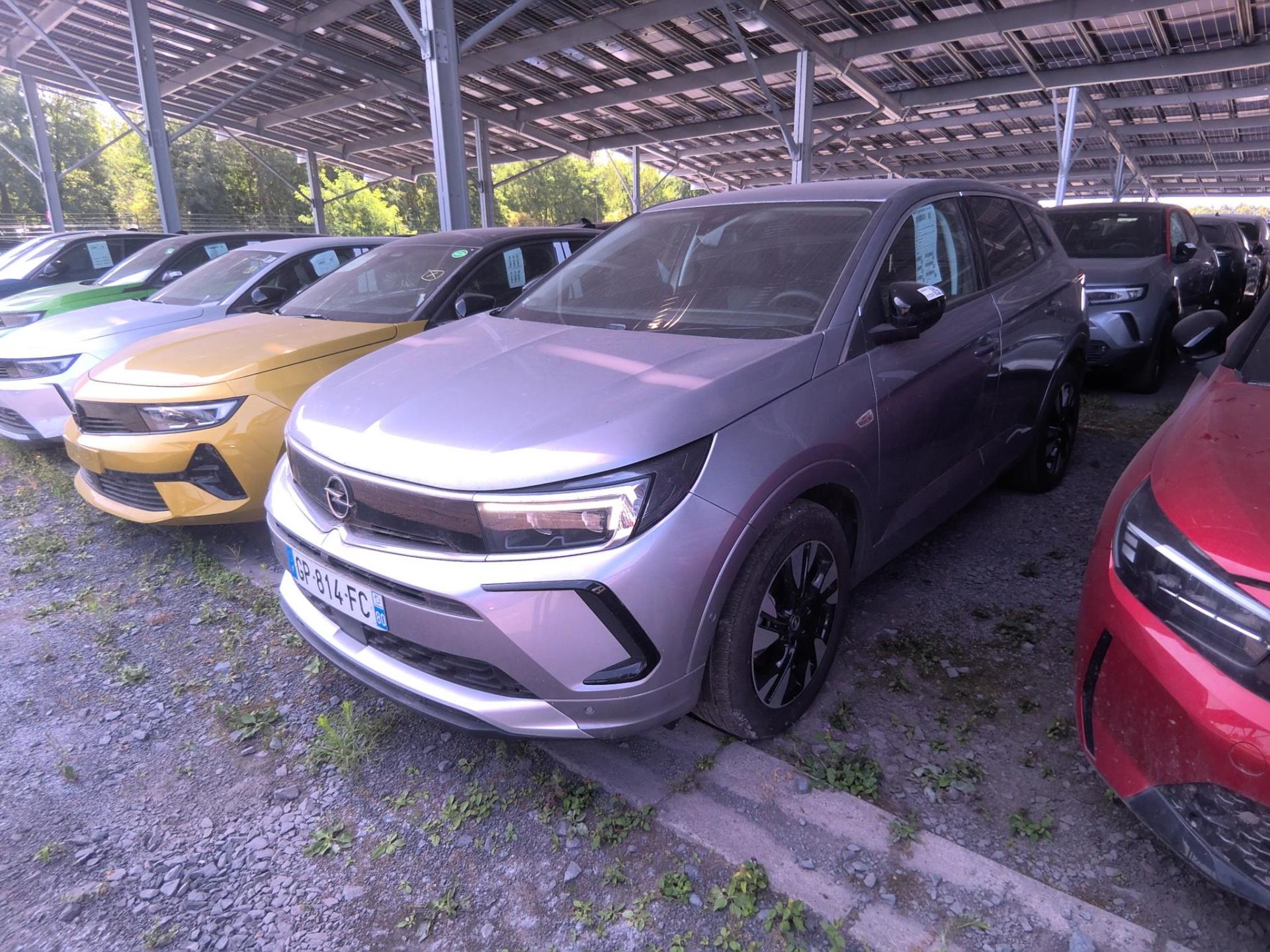 Opel Grandland 1.5 Diesel 130 ch BVA8 Elegance Business 2023