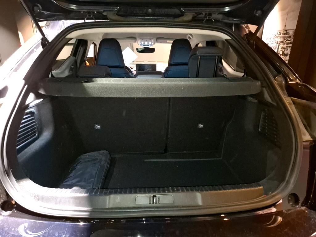 DS DS3 Crossback PureTech 130 EAT8 Ines de la Fressange Paris 2021