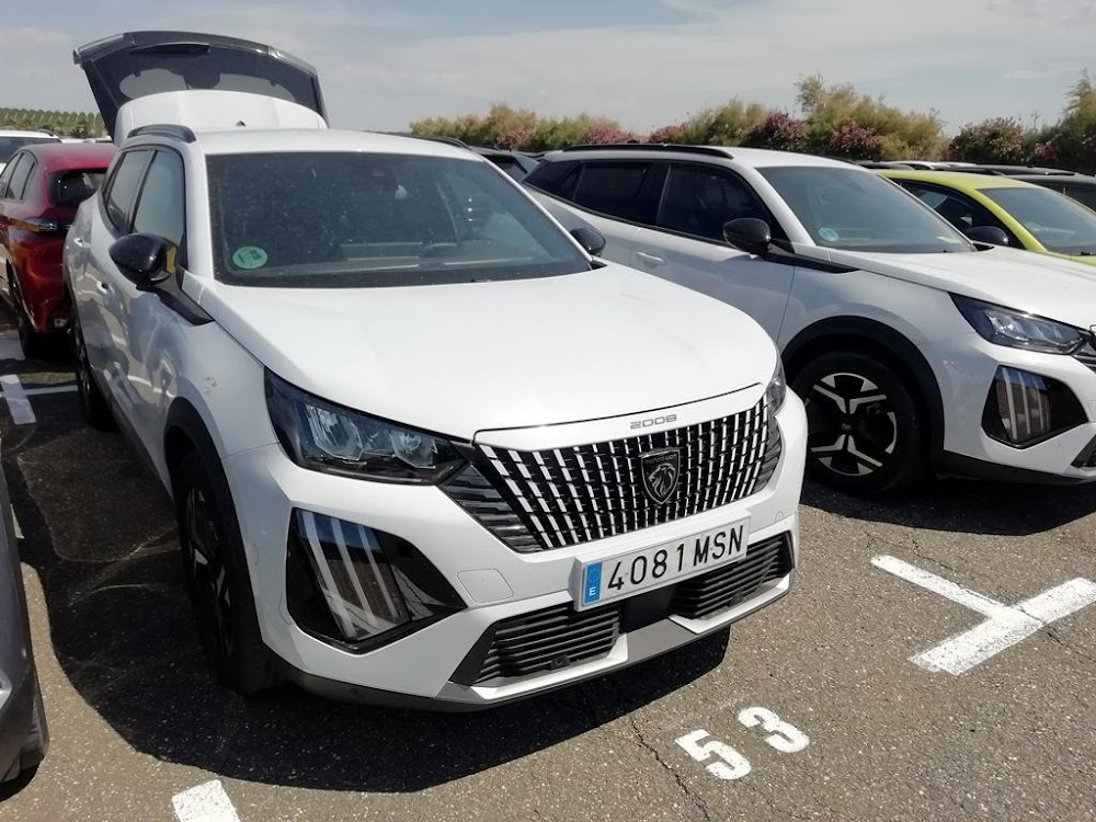 Foto Peugeot 2008 5
